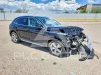 2019 Audi Q5 фото