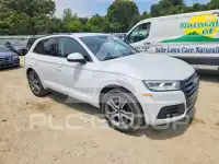 2019 Audi Q5 фото