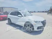 2019 Audi Q5 фото