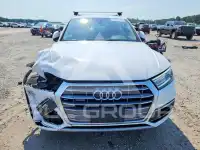 2019 Audi Q5 фото