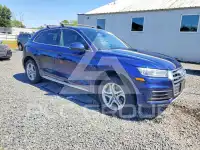 2019 Audi Q5 фото