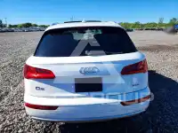 2019 Audi Q5 photo