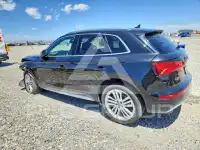 2019 Audi Q5 фото