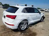 2019 Audi Q5 фото