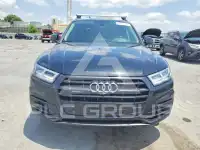 2019 Audi Q5 фото