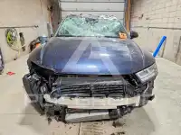 2019 Audi Q5 фото