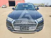 2019 Audi Q5 фото