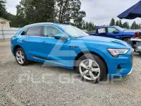 2019 Audi E-TRON фото