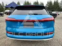 2019 Audi E-TRON фото