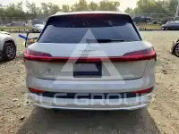 2019 Audi E-TRON фото