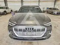 2019 Audi E-TRON фото