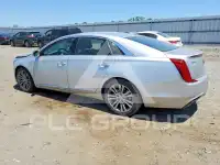 2019 Cadillac XTS фото