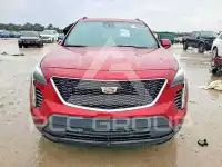 2019 Cadillac XT4 фото