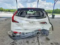 2019 Cadillac XT4 фото
