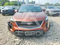 2019 Cadillac XT4 фото