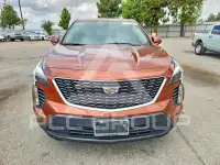 2019 Cadillac XT4 фото