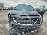 2019 Cadillac XT4 photo