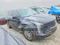 2019 Cadillac XT4 фото