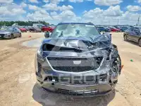 2019 Cadillac XT4 photo