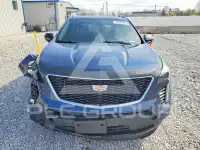 2019 Cadillac XT4 фото
