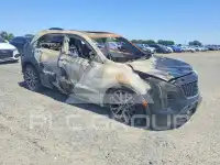 2020 Cadillac XT4 фото