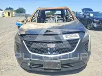 2020 Cadillac XT4 фото