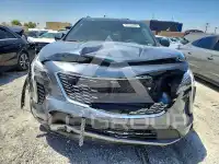 2019 Cadillac XT4 фото