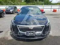 2019 Cadillac CT6 photo