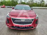 2019 Cadillac CT6 фото