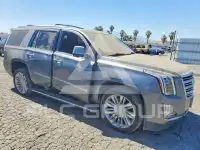 2019 Cadillac ESCALADE фото