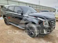 2019 Cadillac ESCALADE фото