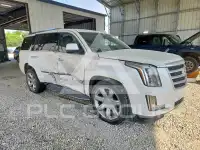 2019 Cadillac ESCALADE фото