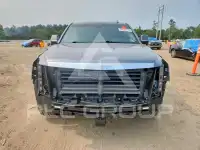 2019 Cadillac ESCALADE фото