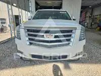 2019 Cadillac ESCALADE фото