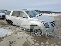 2019 Cadillac ESCALADE фото