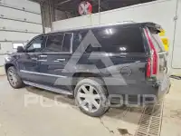 2019 Cadillac ESCALADE фото