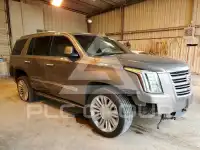2019 Cadillac ESCALADE фото