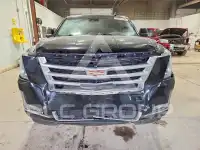 2019 Cadillac ESCALADE фото