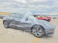 2019 Tesla Model 3 photo