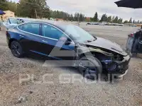 2019 Tesla Model 3 фото
