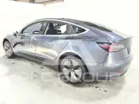 2019 Tesla Model 3 photo