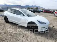 2019 Tesla Model 3 photo
