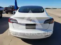 2019 Tesla Model 3 photo