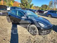 2019 Tesla Model 3 фото