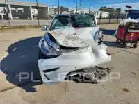 2019 Tesla Model 3 фото