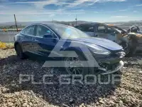 2019 Tesla Model 3 photo
