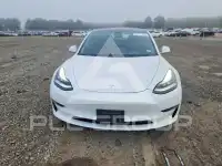 2019 Tesla Model 3 photo