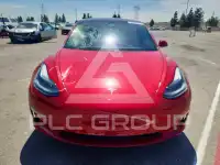 2019 Tesla Model 3 photo