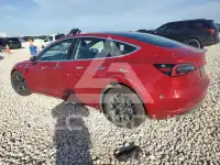 2019 Tesla Model 3 photo