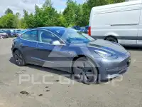 2019 Tesla Model 3 photo